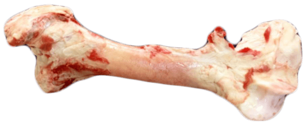 Marrow Bone
