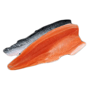 Fresh Frozen Salmon Fillet Trim