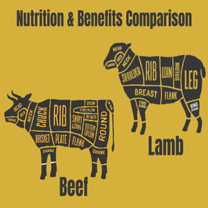 Beef vs. Lamb: Unveiling the Nutritional Battle – Discover the Secret to a Healthier You