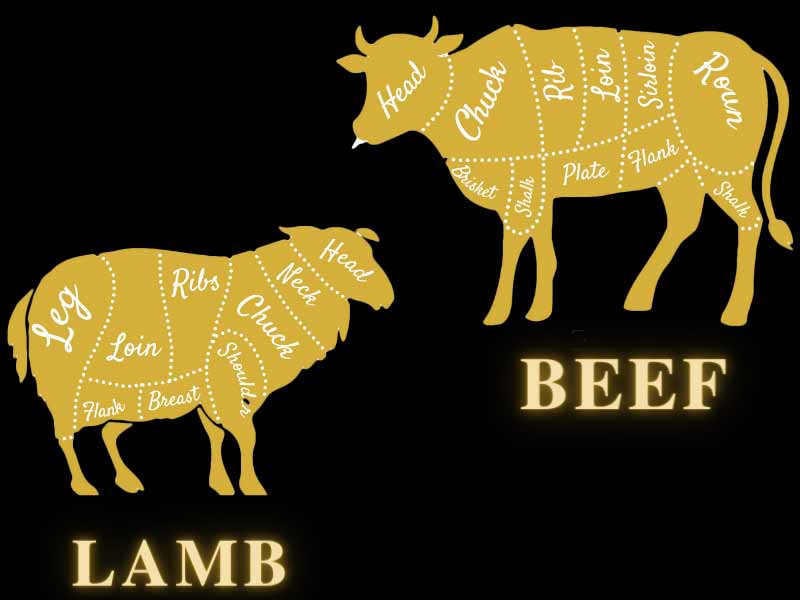 Health Benefits Of Lamb vs Beef