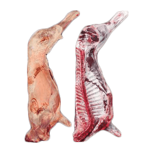 Lamb Carcass